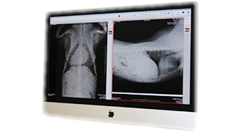 X線画像診断装置